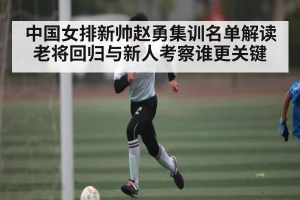 中国女排新帅赵勇集训名单解读 老将回归与新人考察谁更关键